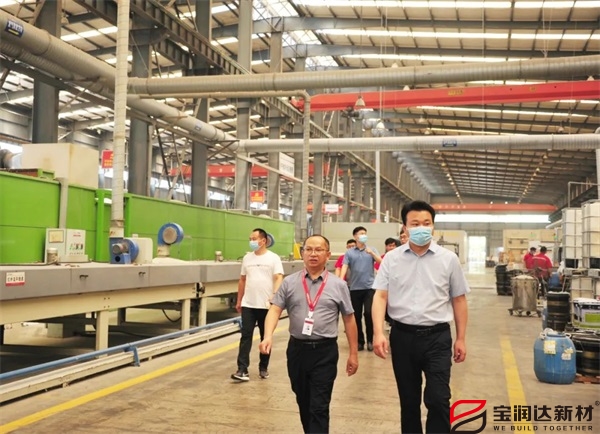 熱烈歡迎葉縣領(lǐng)導蒞臨寶潤達考察